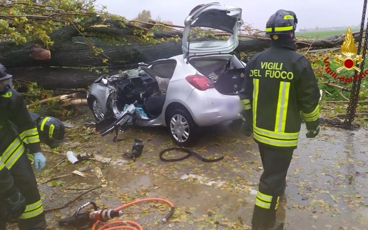 Albero Cade Su Un Auto A Monselice Grave L Autista Di Anni Foto