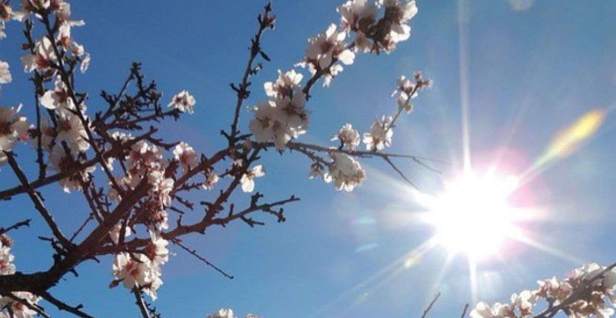 Sole E Caldo Nella Prima Settimana Di Primavera Attesa La Pioggia Per