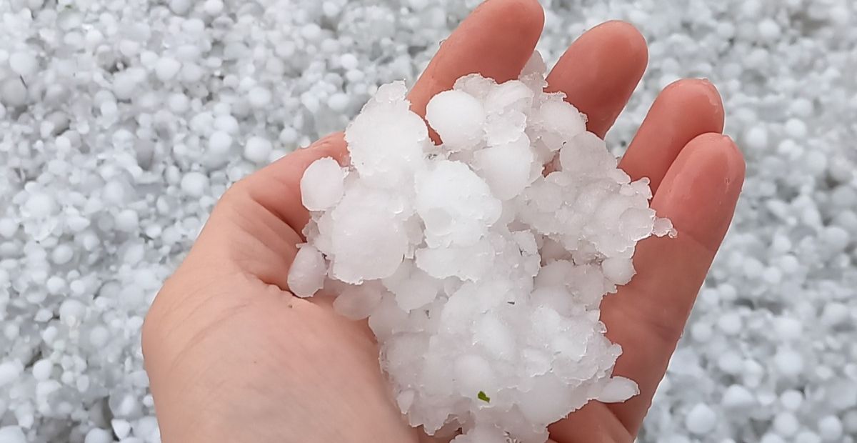 Maltempo Violenta Grandinata Nella Bassa Padovana FOTO TgPadova