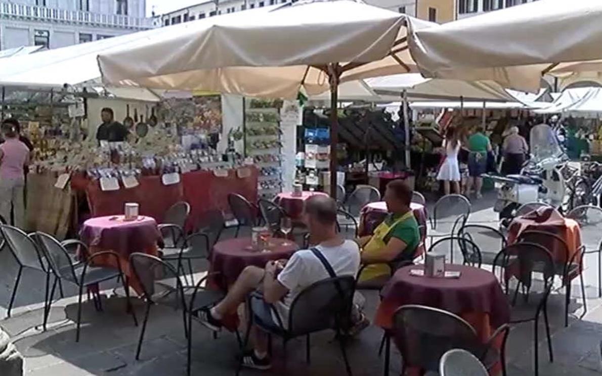 Plateatici