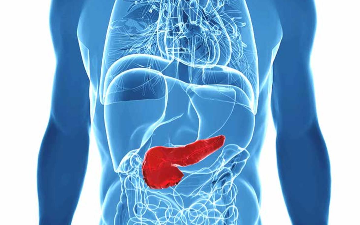 Pancreas