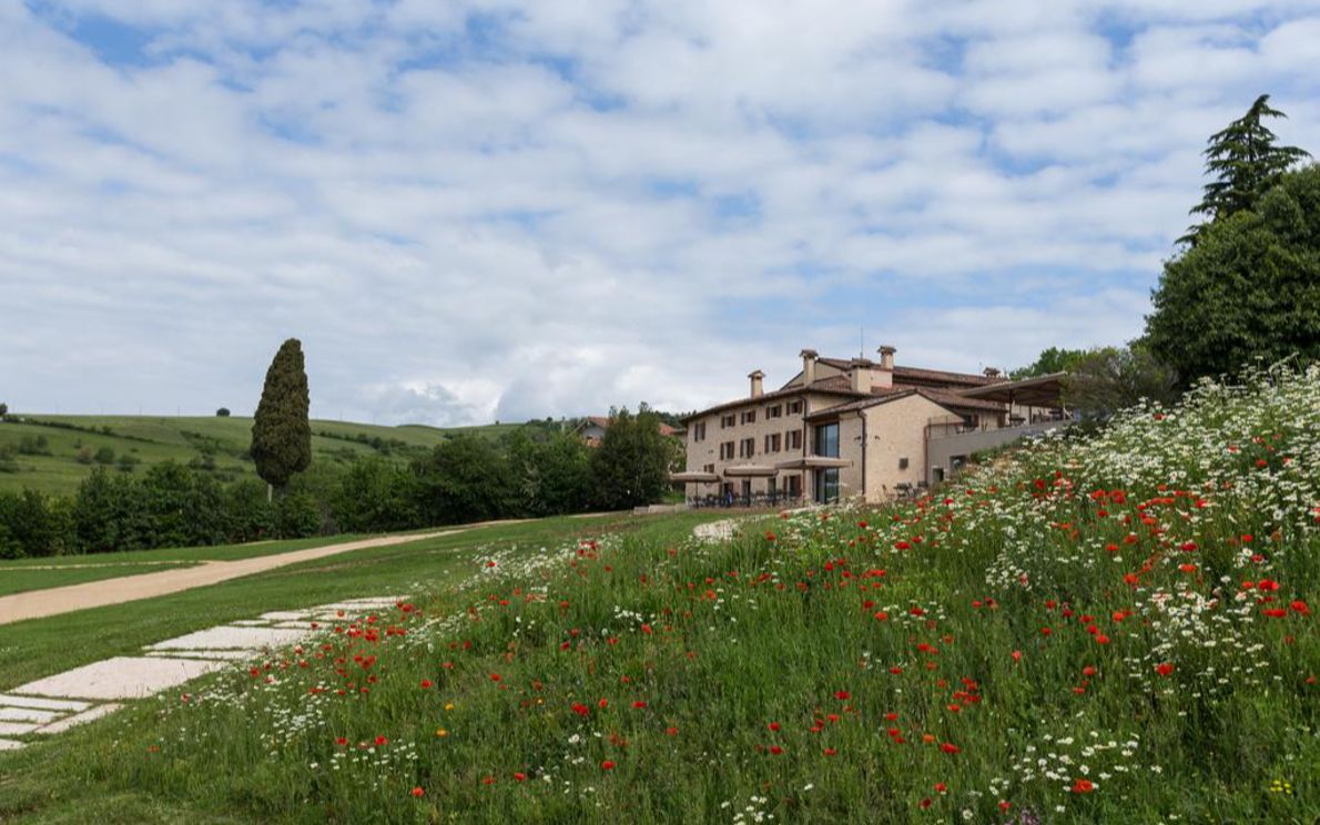 Appassimento delle uve, ritorno al futuro “Call to action” a la Collina dei Ciliegi TgVerona Appassimento delle uve, ritorno al futuro “Call to action” a la Collina dei Ciliegi TgVerona