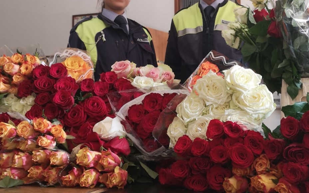 Le rose sequestrate dalla Polizia Municipale