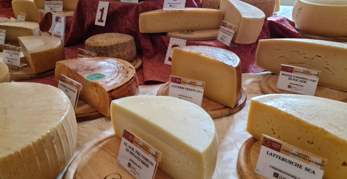 I formaggi di Caseus Veneti