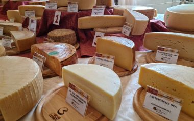 I formaggi di Caseus Veneti