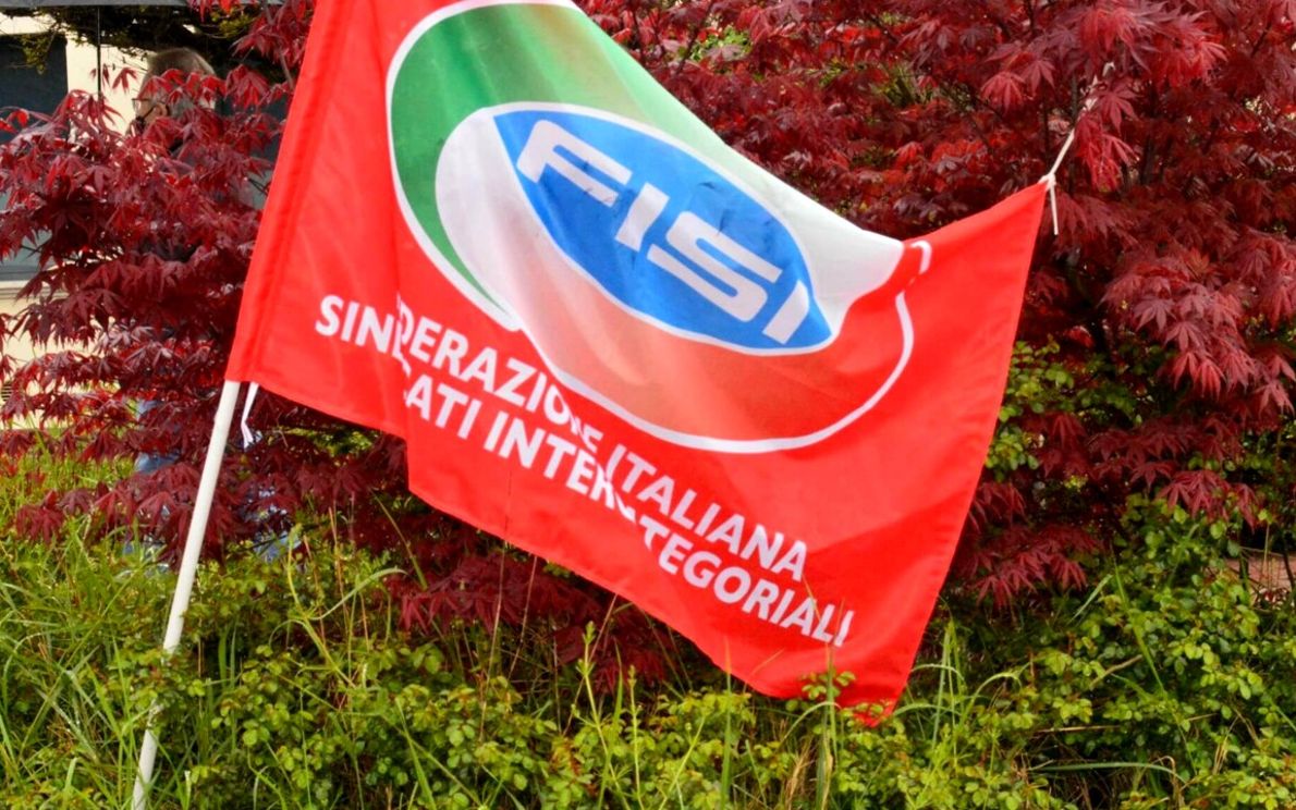 Fisi