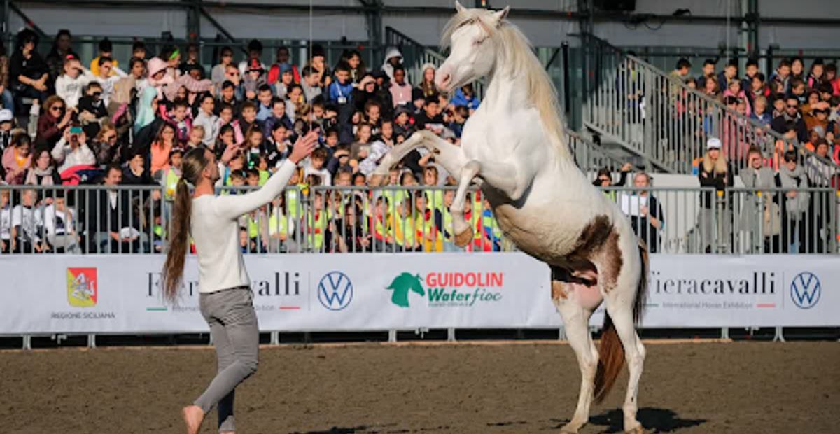 FieraCavalli