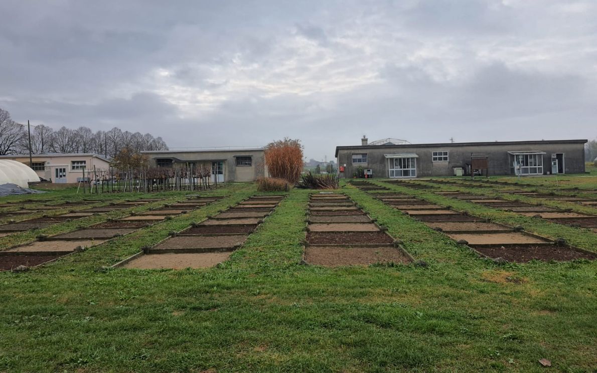 Campi di Agripolis a Vigodarzere