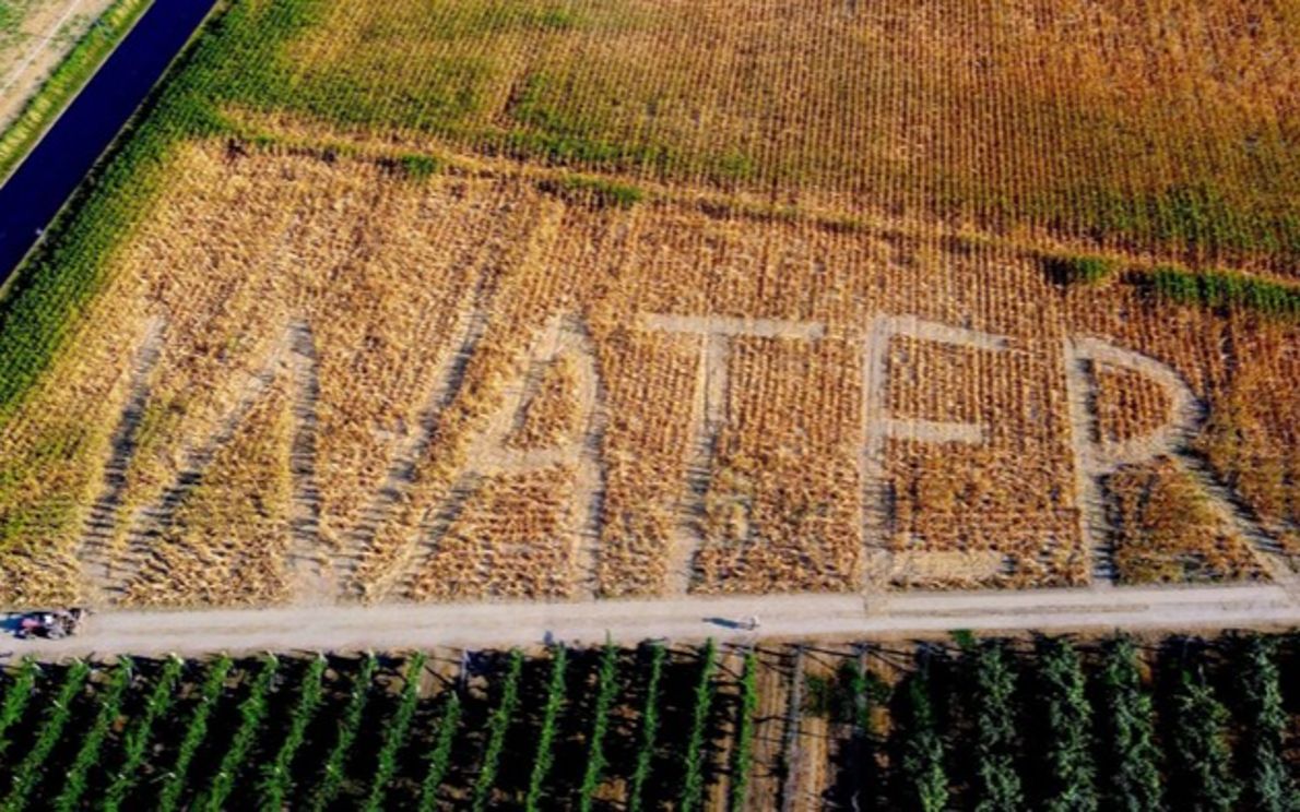 Save Water, Gambarin