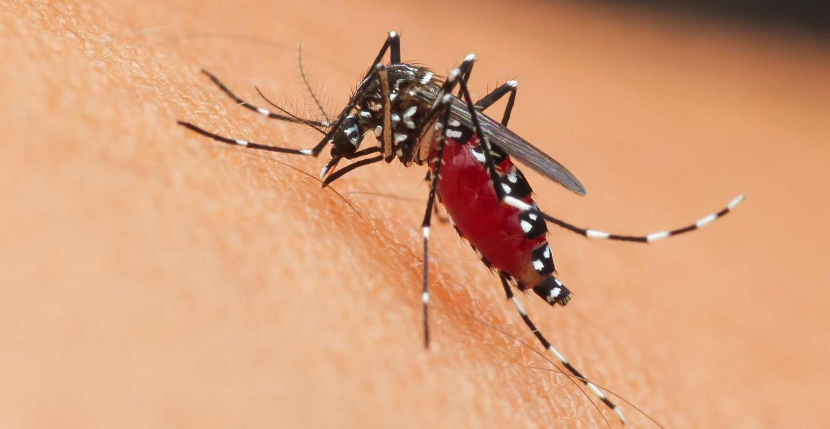 West Nile
