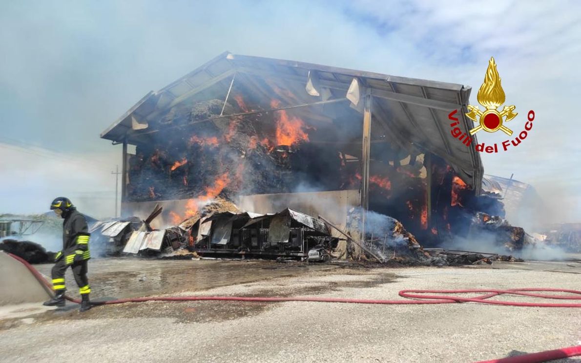 Azienda agricola in fiamme a Pernumia