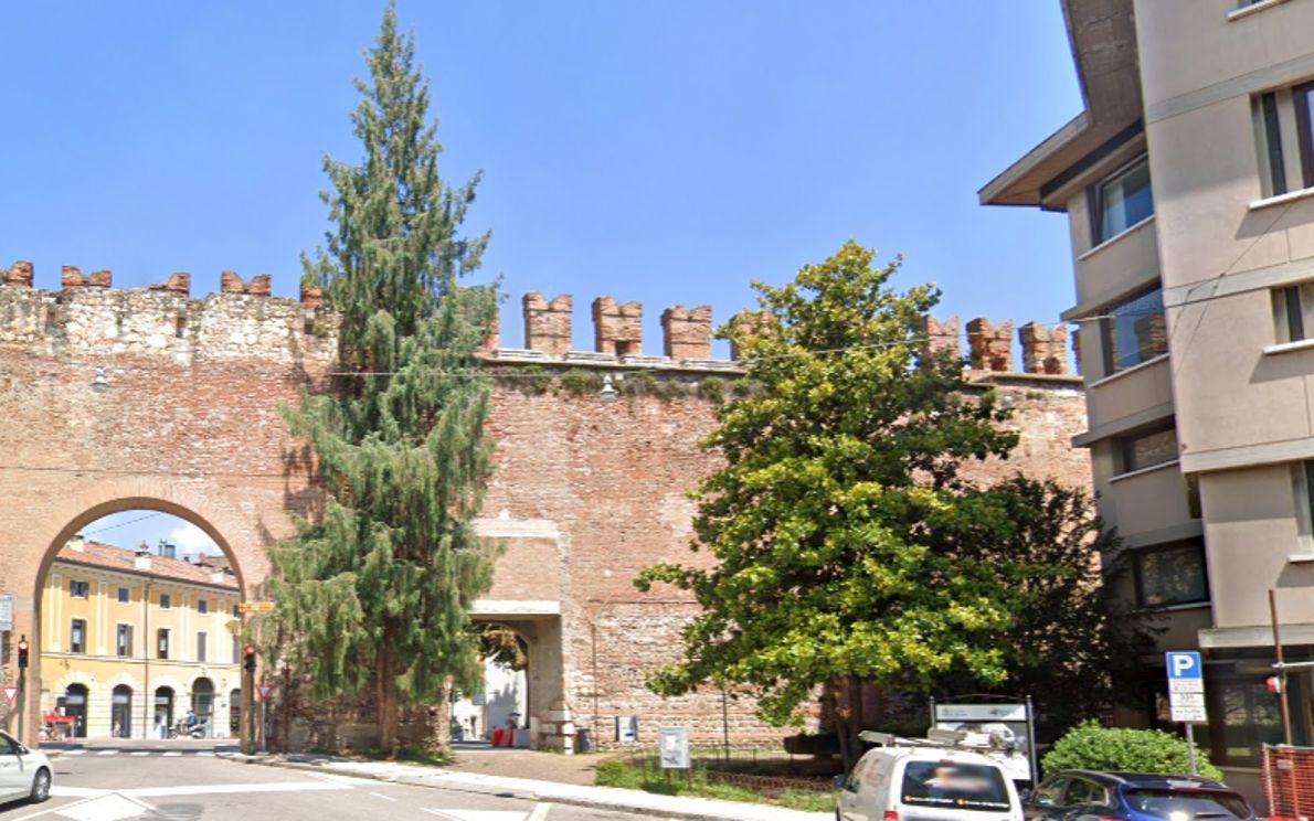 Alberi in via Adigetto