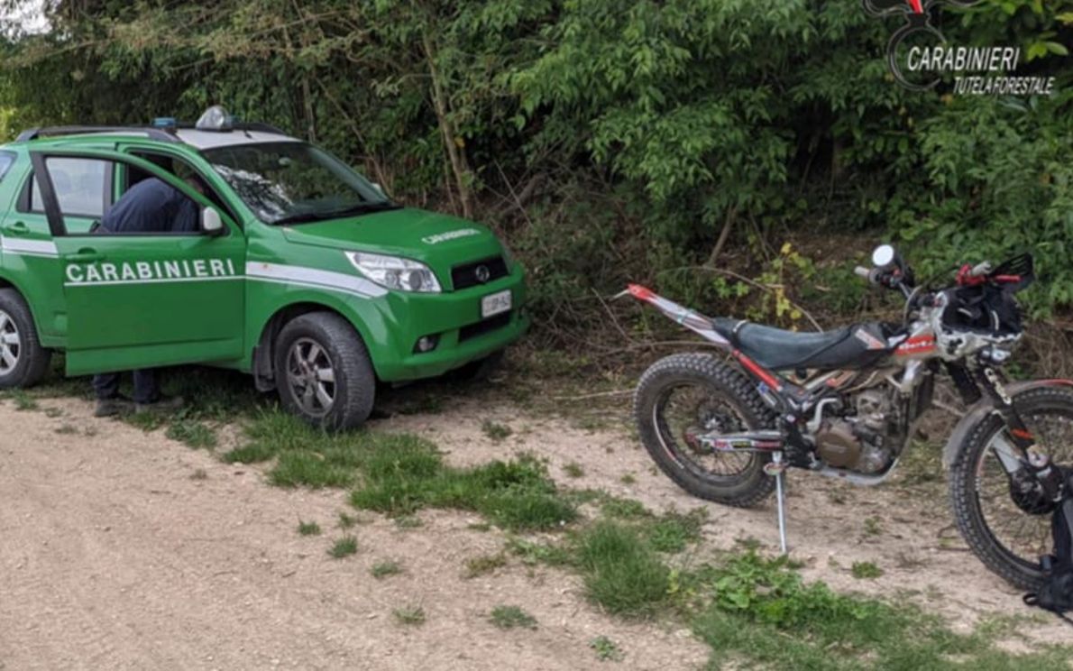 Multati 4 motociclisti sui Colli