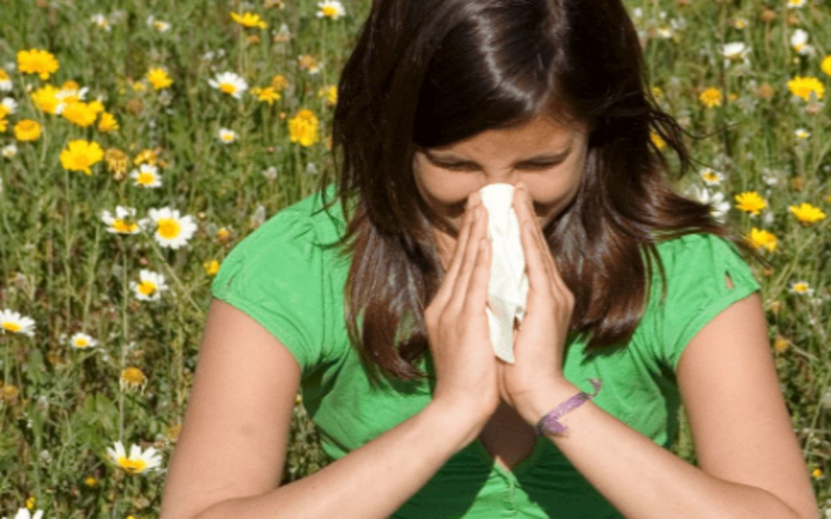 Allergie (foto dal web)