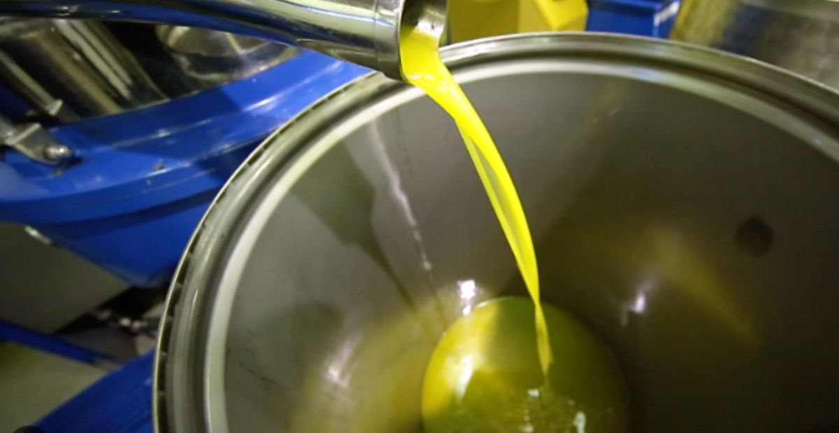 Olio Colli Euganei