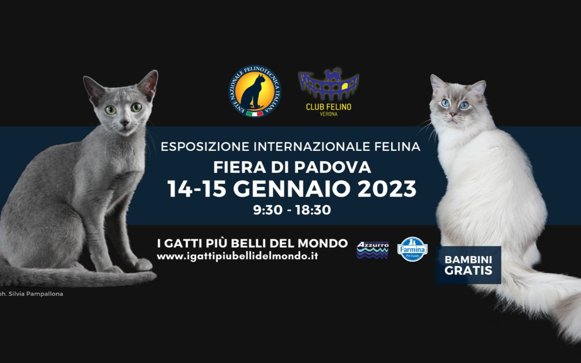 Fiera I Gatti più belli del mondo