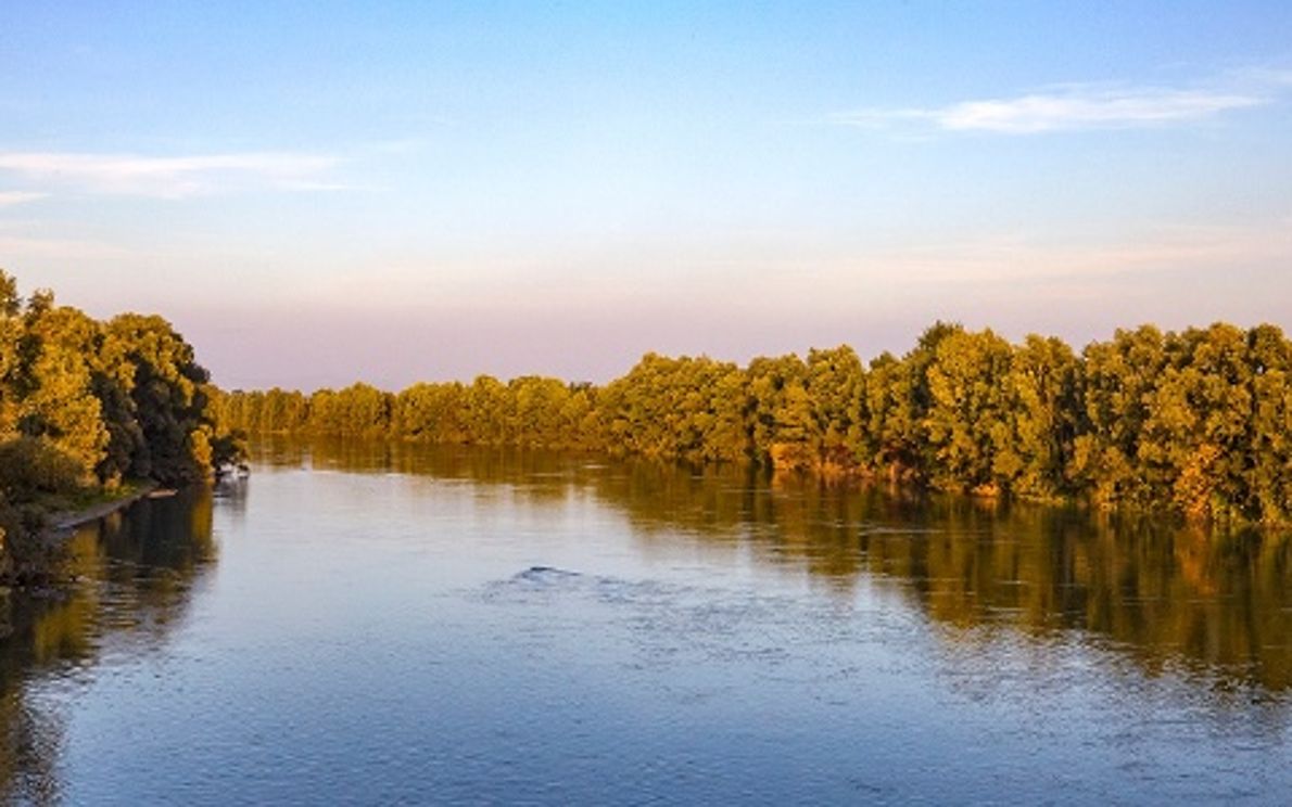 Adige nella Bassa Veronese