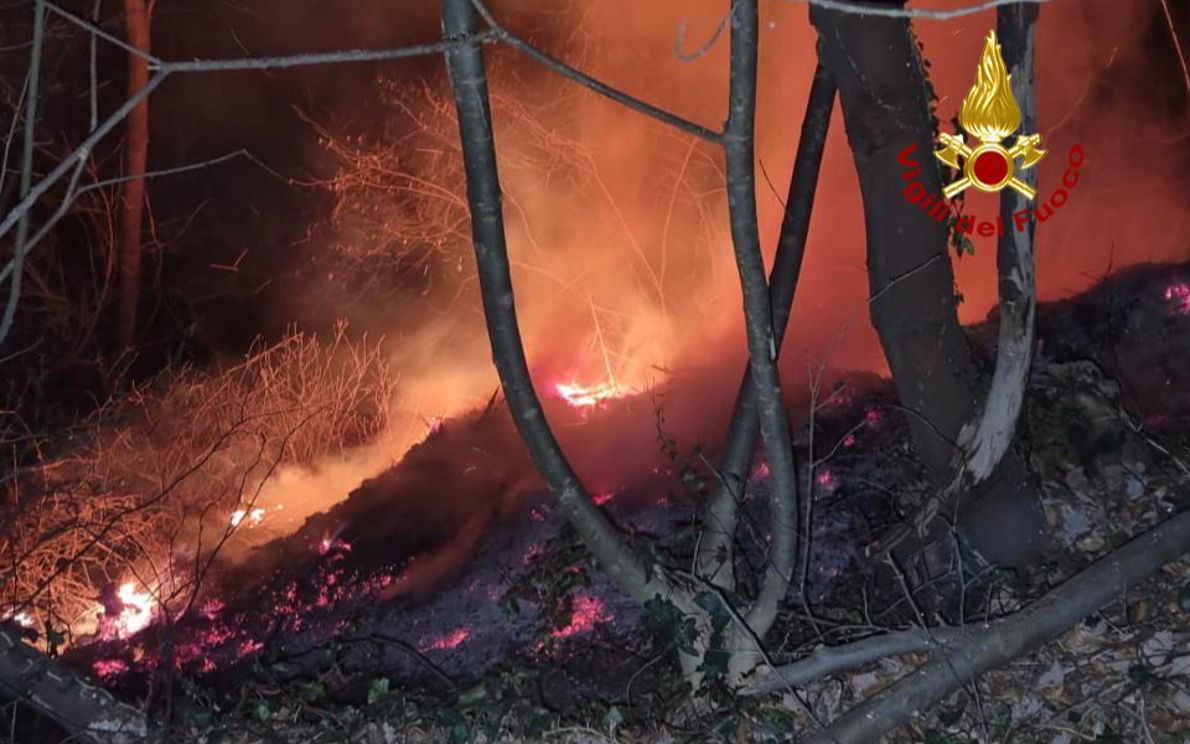 Bosco In Fiamme A Lozzo Atestino Incendio Domato Dai Vigili Del Fuoco 