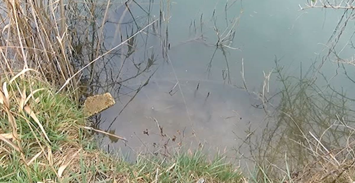 Fiume Bacchiglione a Brusegana