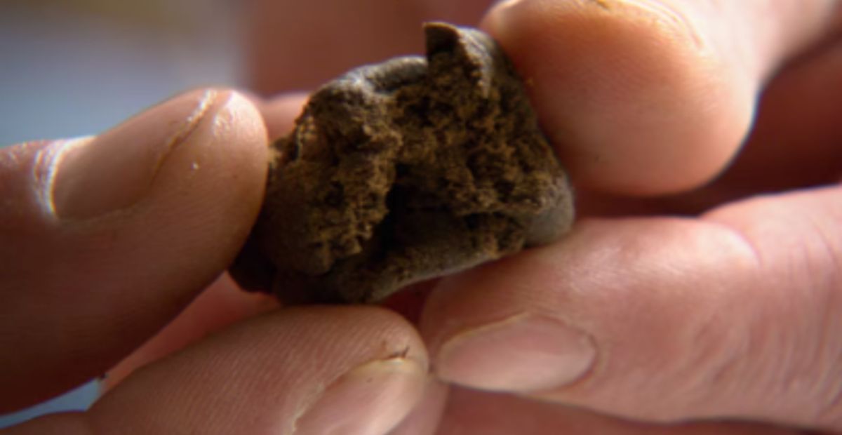 Hashish