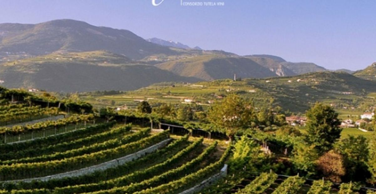 Consorzio Valpolicella