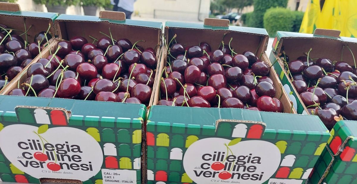 Ciliegie veronesi