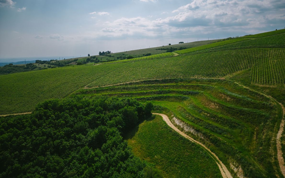 Collina dei Ciliegi