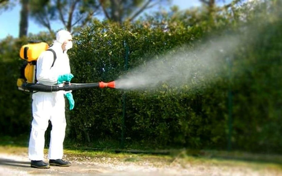 Disinfestazione zanzara tigre