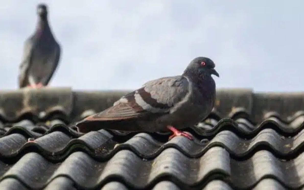 Mirino Ottico Da Cecchino Fucile Da Cecchino Militare Pov E Mirino Con - Foto 9