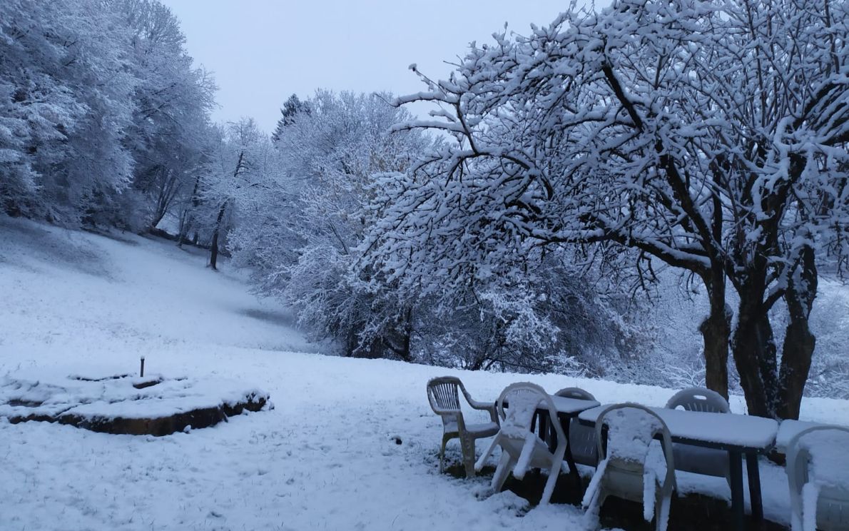 Neve a Bosco Chiesanuova