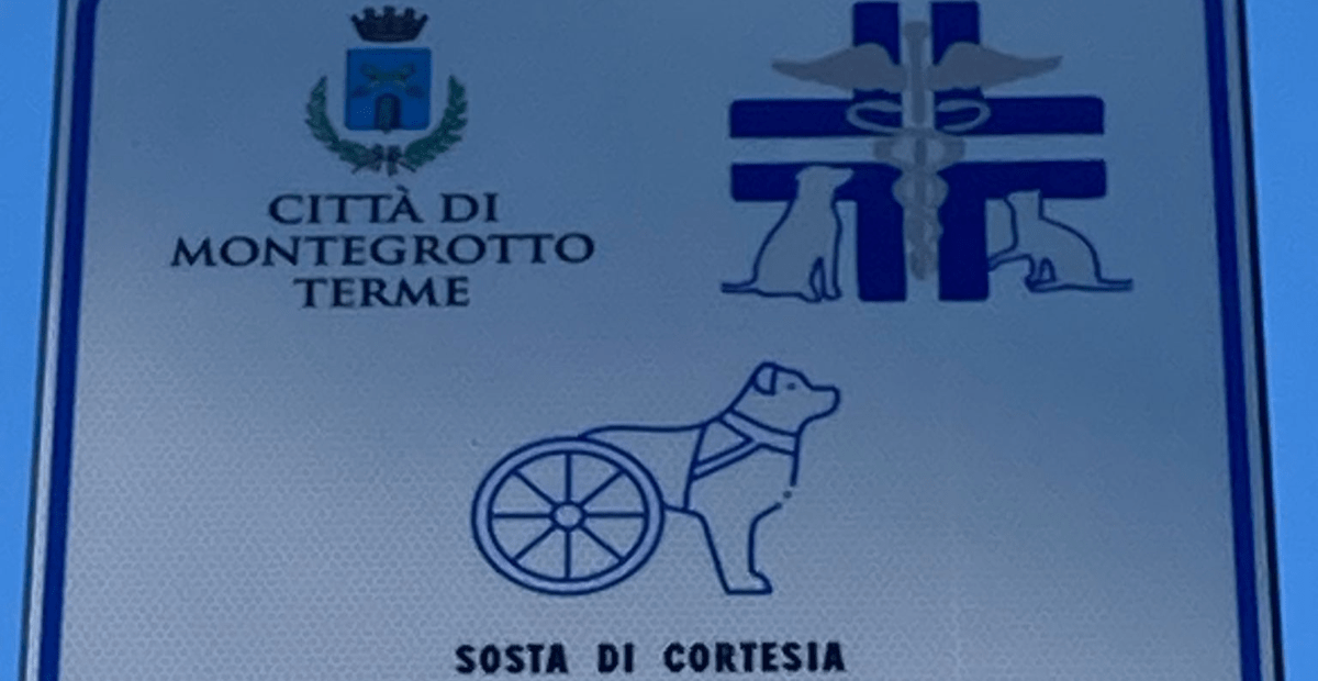 Imbracatura Supporto Cani - Per Riabilitazione, Mobilità Limitata, Taglia S, Manici Antiscivolo - Foto 3