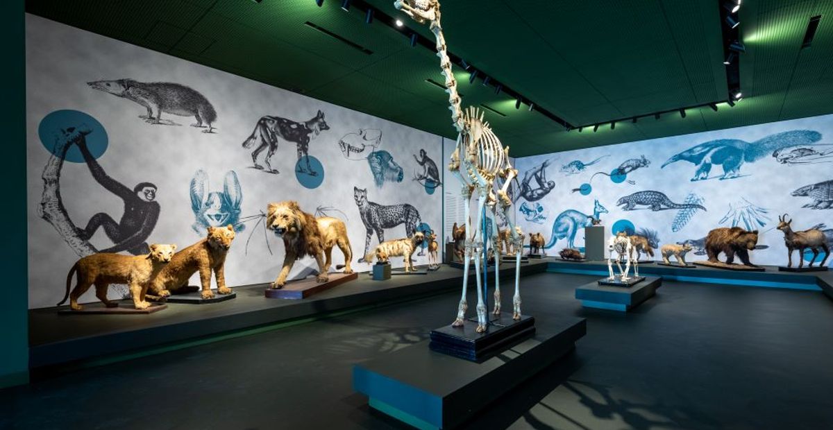 Museo della Natura e dell’Uomo