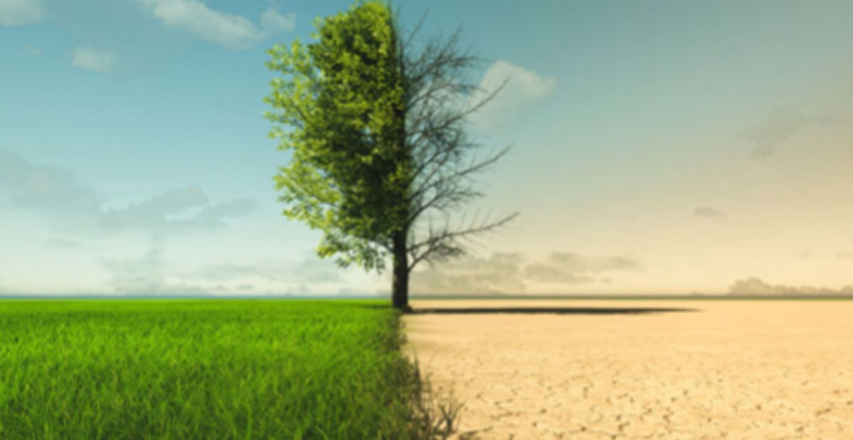 Crisi climatica
