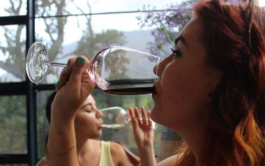 Giovani e vino