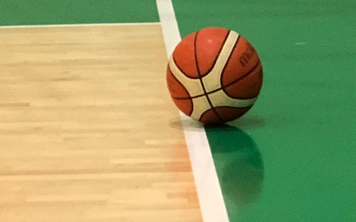 Palla da basket