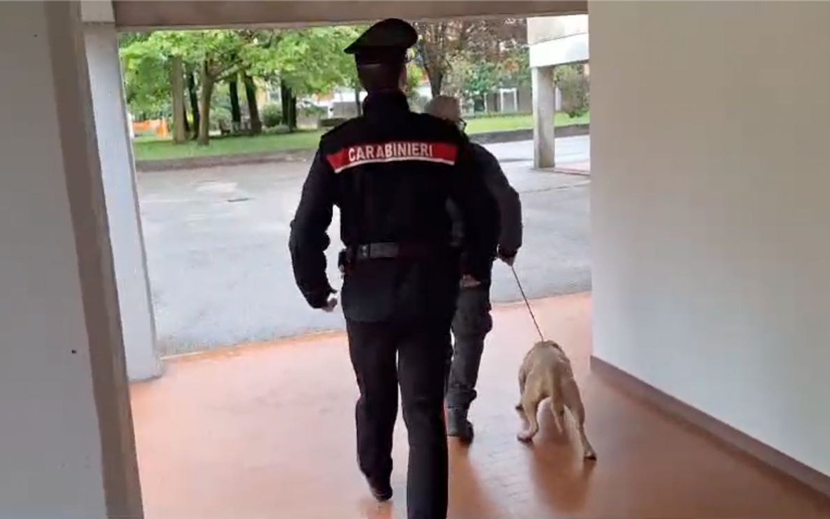Donna azzannata da cani a Mortise