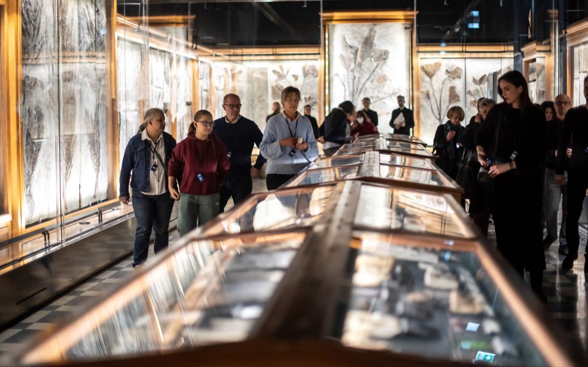 Museo della Natura e dell’Uomo, Unipd