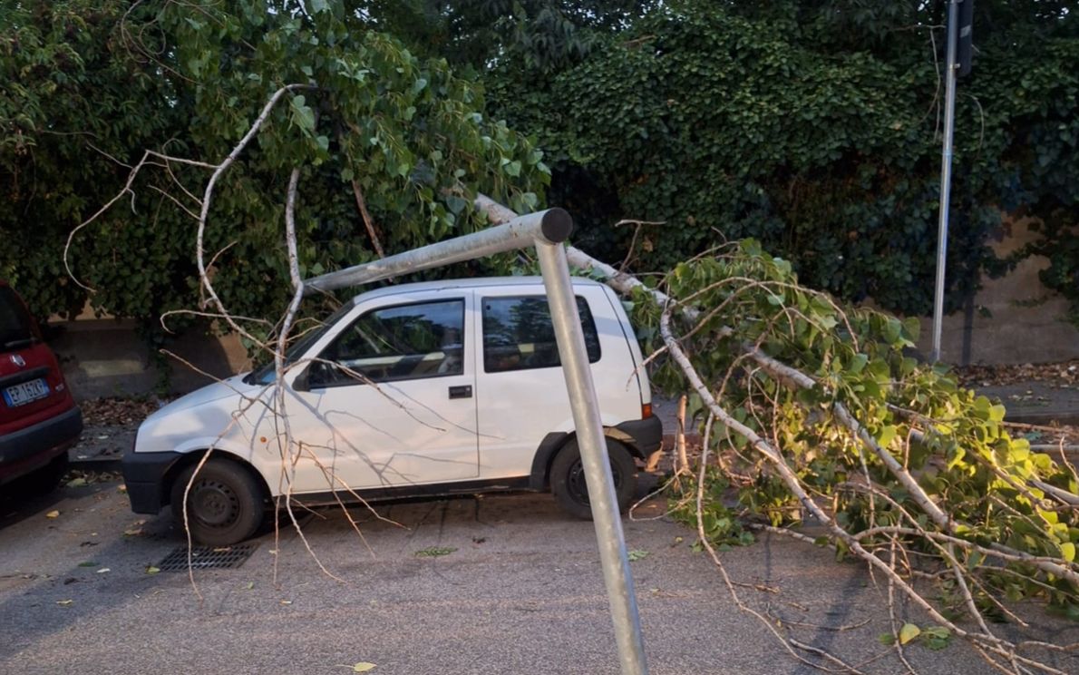 Albero crollato su auto