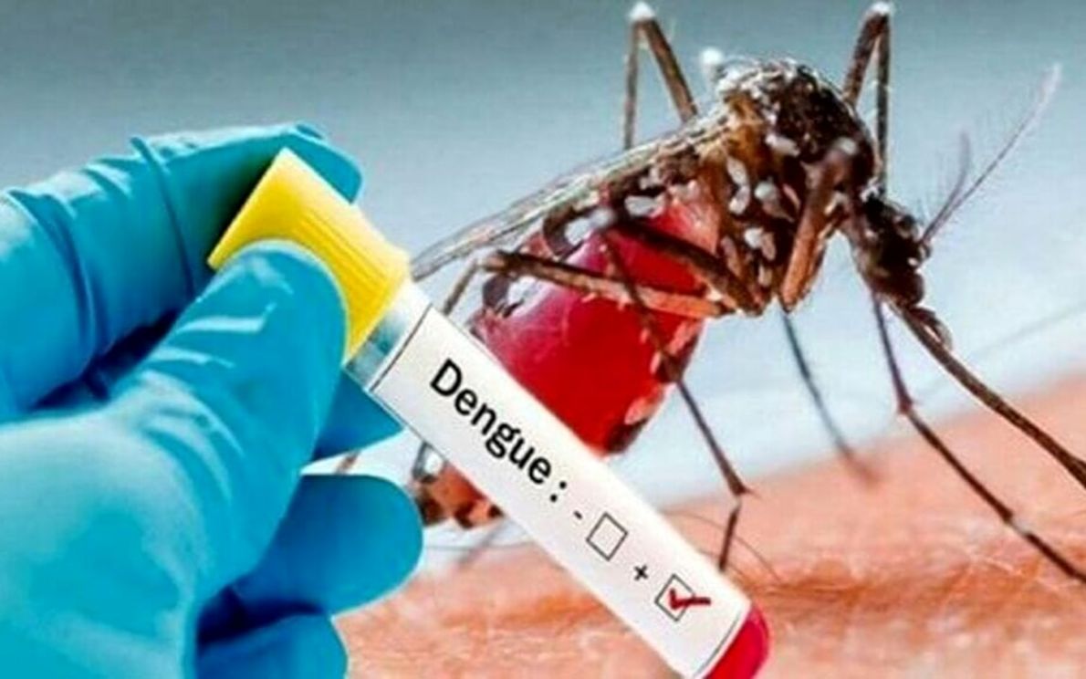 Dengue