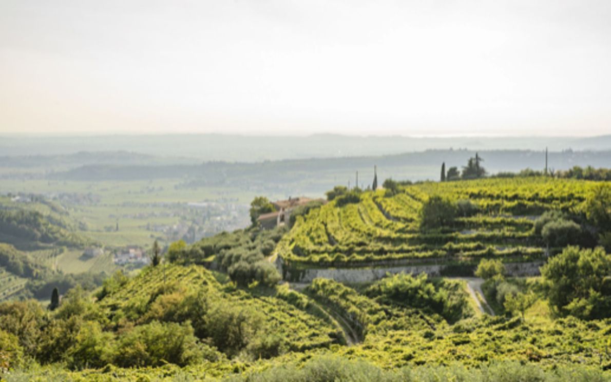 Strada del Vino Valpolicella