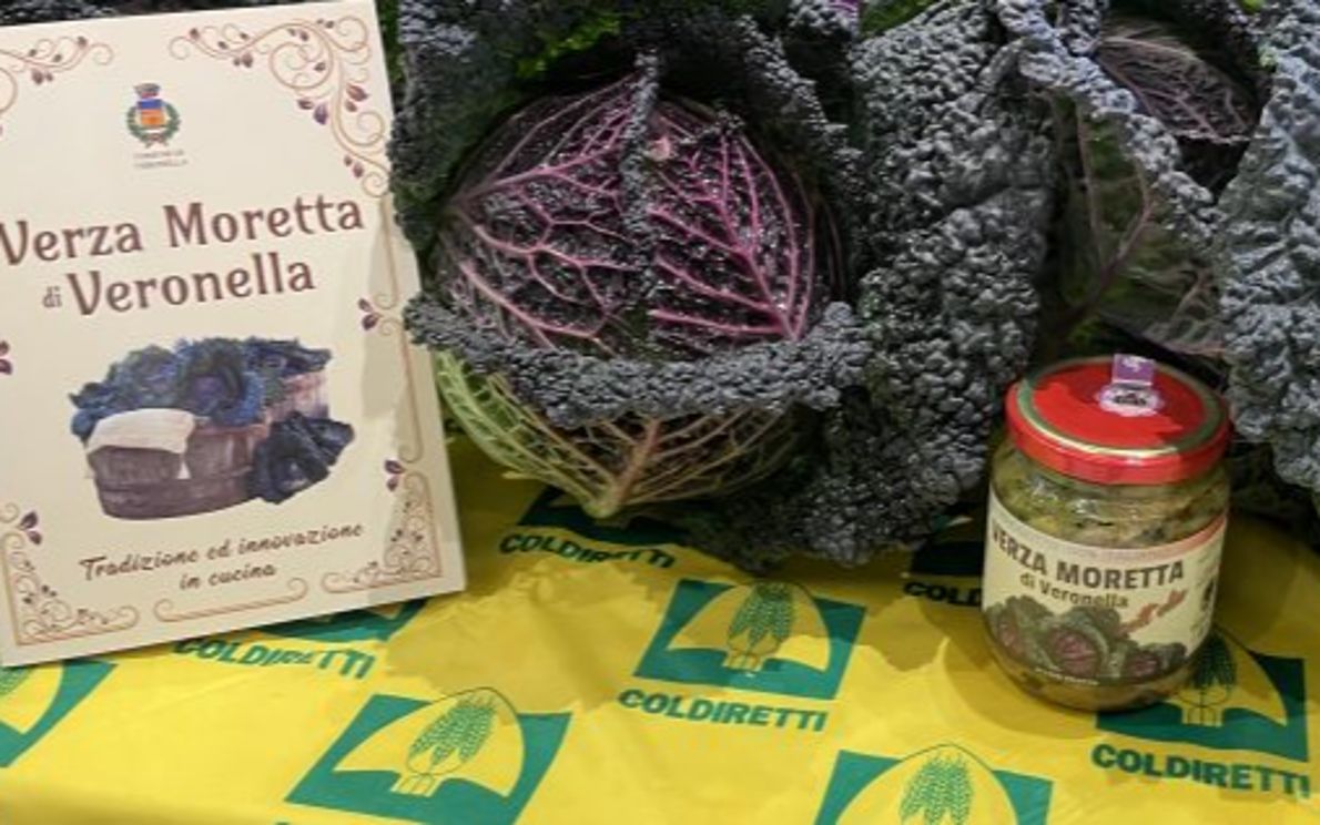 Verza moretta