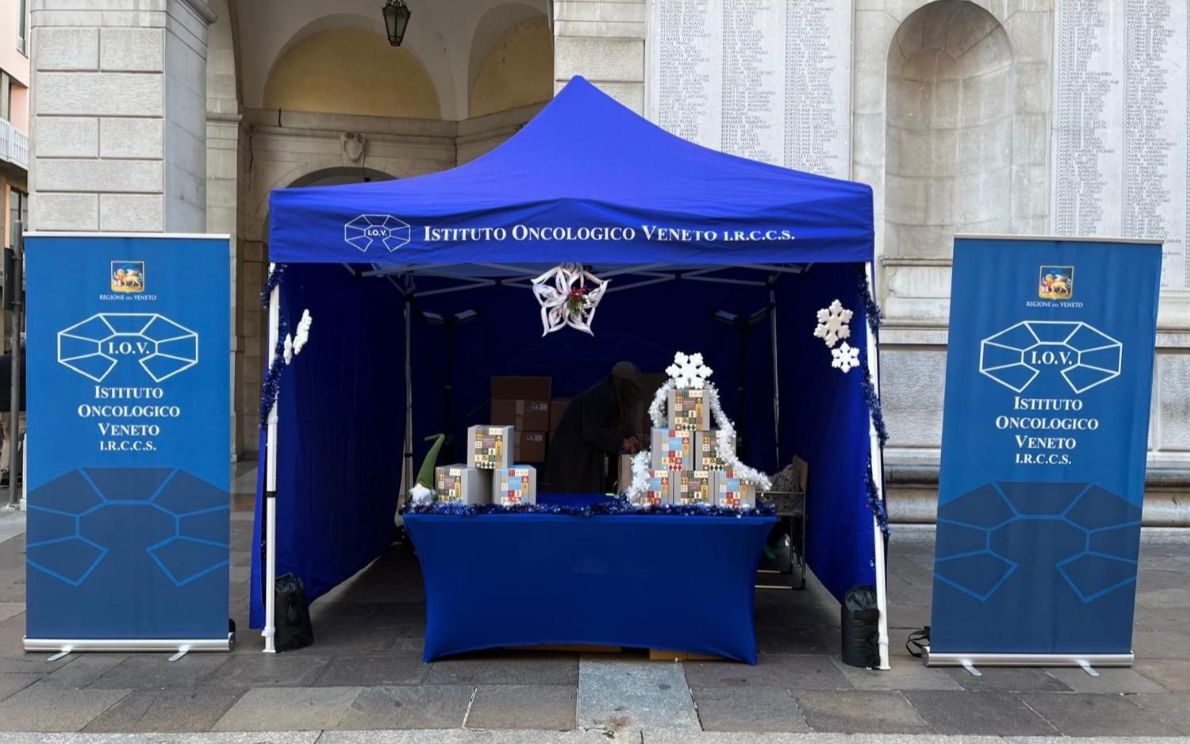 Panettoni natalizi dello IOV