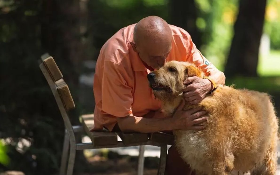 Anziani e animali
