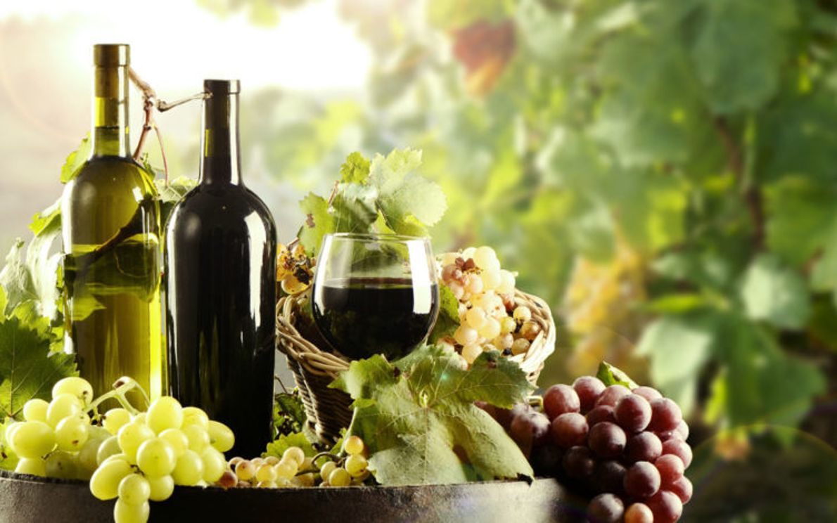 Vino