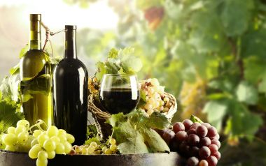 Vino