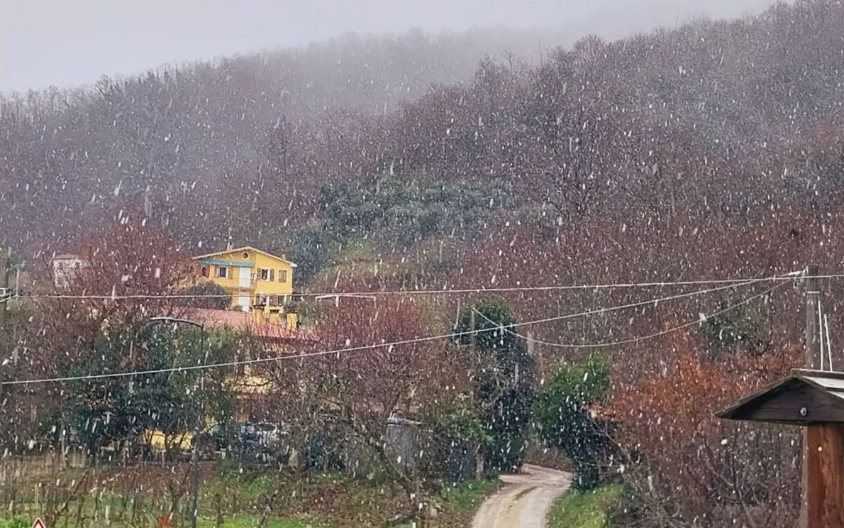 Neve Colli Euganei (foto: Luca Tec)