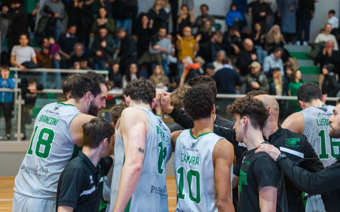 Virtus basket