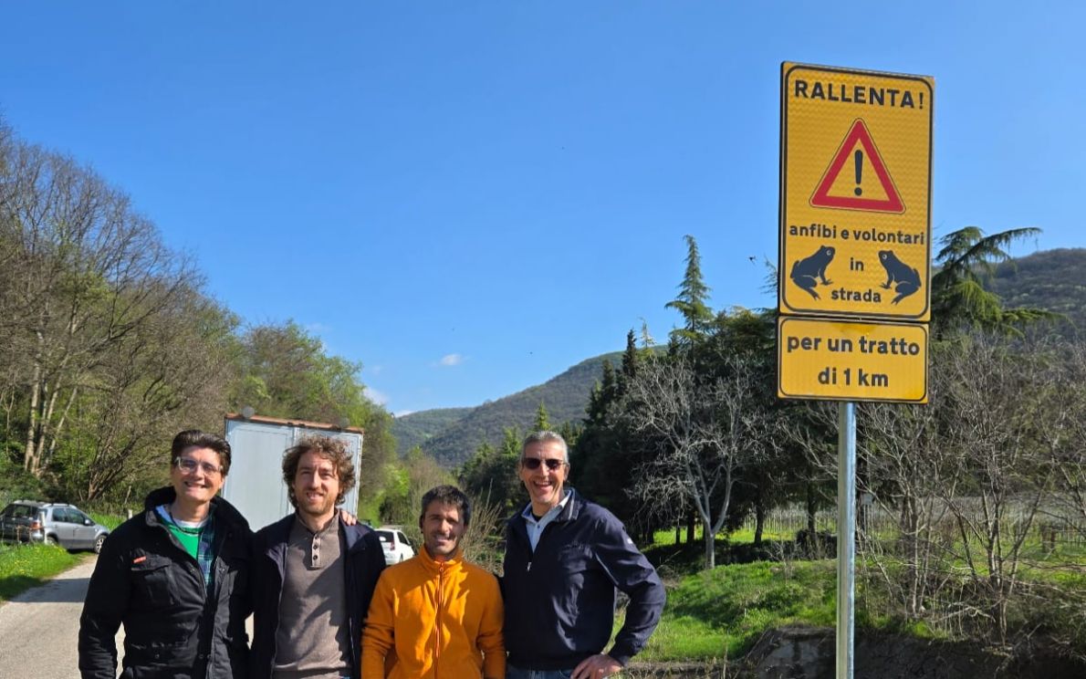 I cartelli posizionati