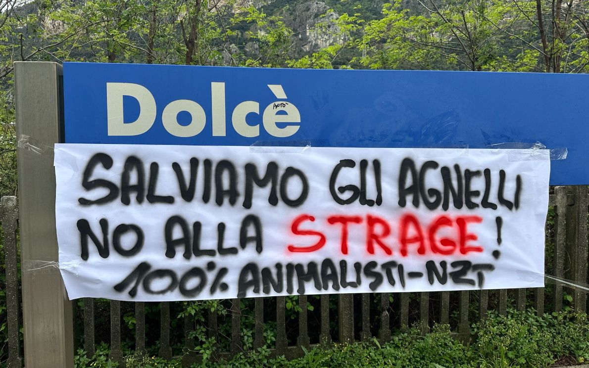 Centopercentoanimalisti