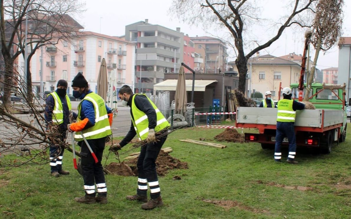 AMIA al lavoro